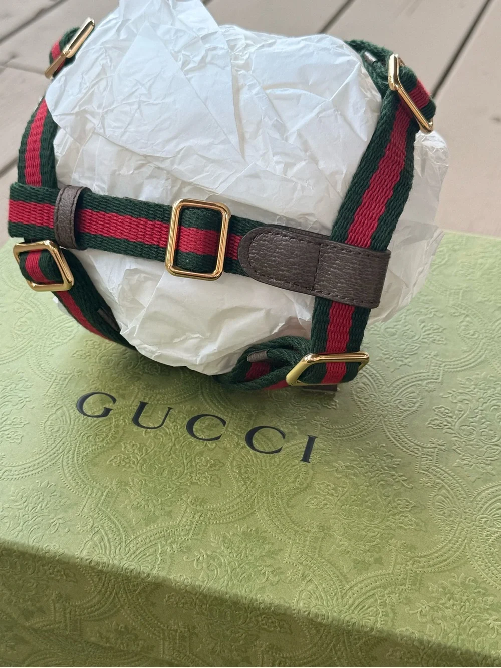 GUCCI Web Stripe S/M Faux Leather Dog Harness NEW